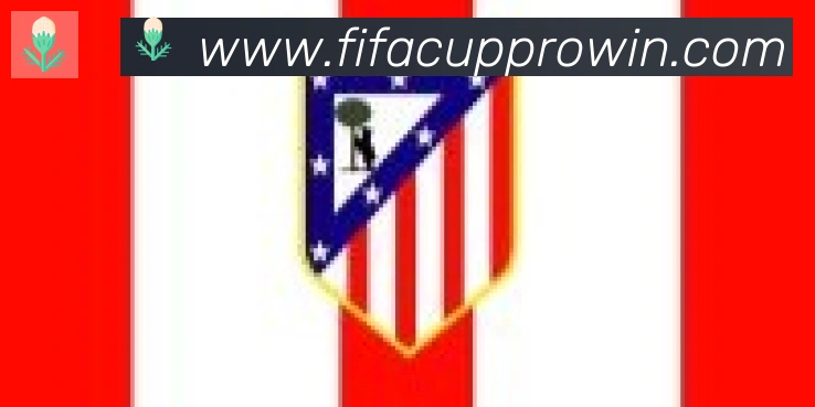 FIFA世界杯买球入口合作伙伴