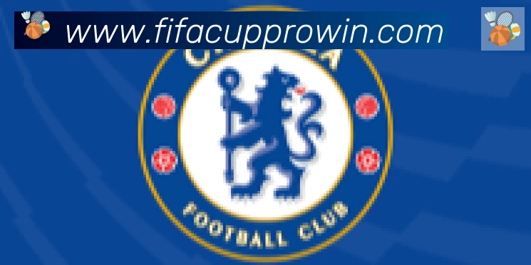 FIFA世界杯买球入口合作伙伴